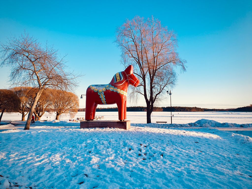 Zweden Winter Nieuw 18